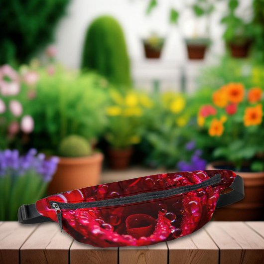 Rote Rose Makrofotografie Botanisch Bauchtasche