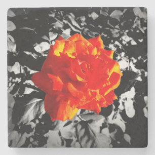 Rote Rose Marble Stone Untersetzer