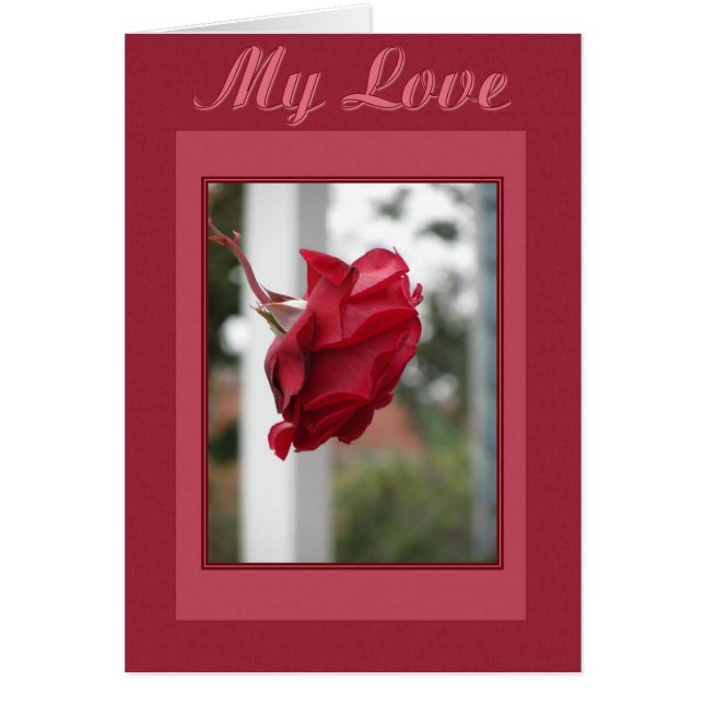 Rote Rose Meine Liebe (Vorne)