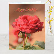 Rote Rose mit Bud Happy Birthday