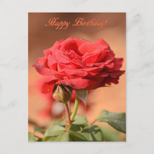 Rote Rose mit Bud Happy Birthday Postkarte