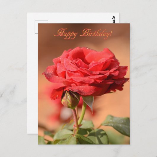 Rote Rose mit Bud Happy Birthday Postkarte (Vorne/Hinten)