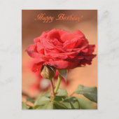 Rote Rose mit Bud Happy Birthday Postkarte (Vorderseite)