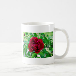 Rote Rose mit Bud Kaffeetasse