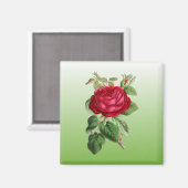 Rote Rose mit Farbverlauf Magnet (Vorderseite/Rückseite)