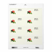 Rote Rose mit goldgelber Mitte (Vorne)
