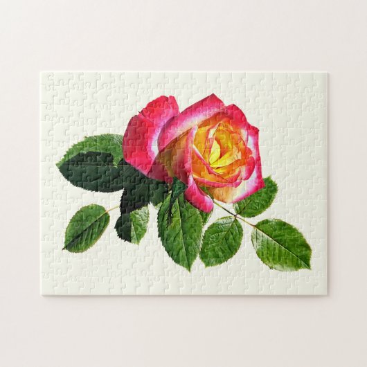 Rote Rose mit goldgelber Mitte Puzzle (Horizontal)