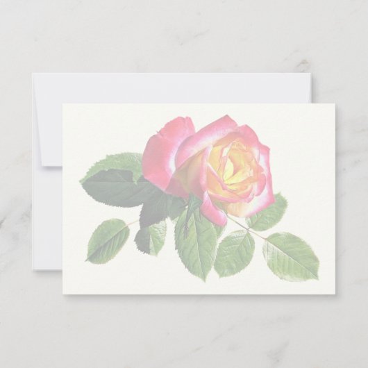 Rote Rose mit goldgelber Mitte RSVP Karte (Rückseite)