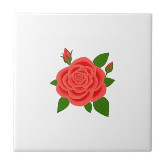 Rote Rose mit Knospen Weiße Keramikfliese (Vorderseite)