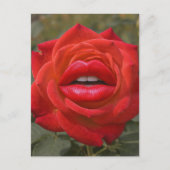 Rote Rose mit Lippen Collage Postkarte (Vorderseite)
