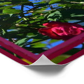 Rote Rose mit Louie Armstrong Zitat Poster (Ecke)