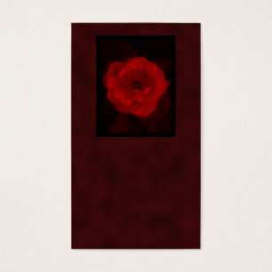 Rote Rose. Mit Schwarzem und tiefrotem.