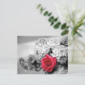 Rote Rose mit Schwarzweiß-Hintergrund Postkarte (Stehend Vorderseite)