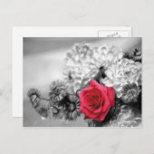 Rote Rose mit Schwarzweiß-Hintergrund Postkarte (Vorne/Hinten)