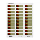 rote Rose mit Stallholz (Vorne)