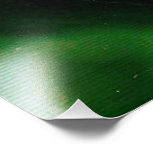 Rote Rose mit Taubenfallen Fotodruck (Ecke)