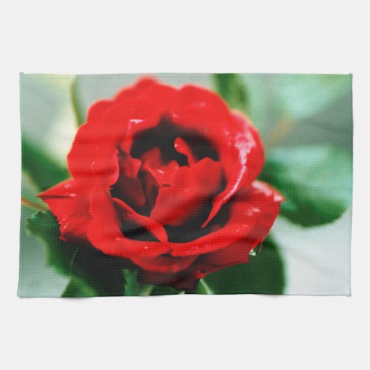 Rote Rose mit Taubenfallen Geschirrtuch (Horizontal)
