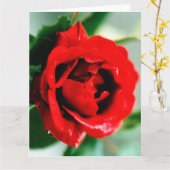 Rote Rose mit Taubenfallen Karte (Gelbe Blume)