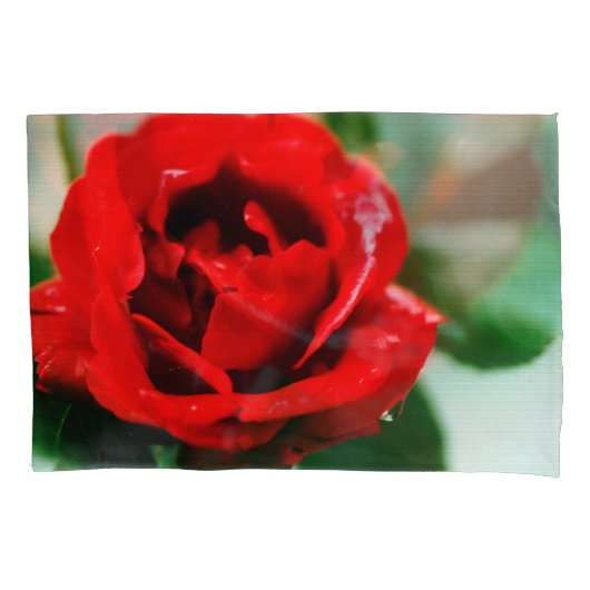 Rote Rose mit Taubenfallen Kissenbezug (Vorderseite)