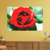 Rote Rose mit Taubenfallen Leinwanddruck (Insitu (Wohnzimmer))