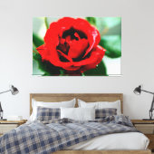 Rote Rose mit Taubenfallen Leinwanddruck (Insitu (Schlafzimmer))