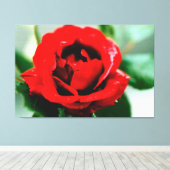 Rote Rose mit Taubenfallen Leinwanddruck (Insitu (Holzboden))