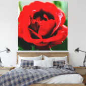 Rote Rose mit Taubenfallen Leinwanddruck (Insitu (Schlafzimmer))