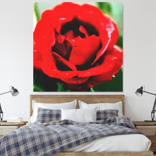 Rote Rose mit Taubenfallen Leinwanddruck (Insitu (Schlafzimmer))