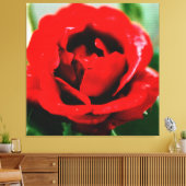 Rote Rose mit Taubenfallen Leinwanddruck (Insitu (Wohnzimmer))
