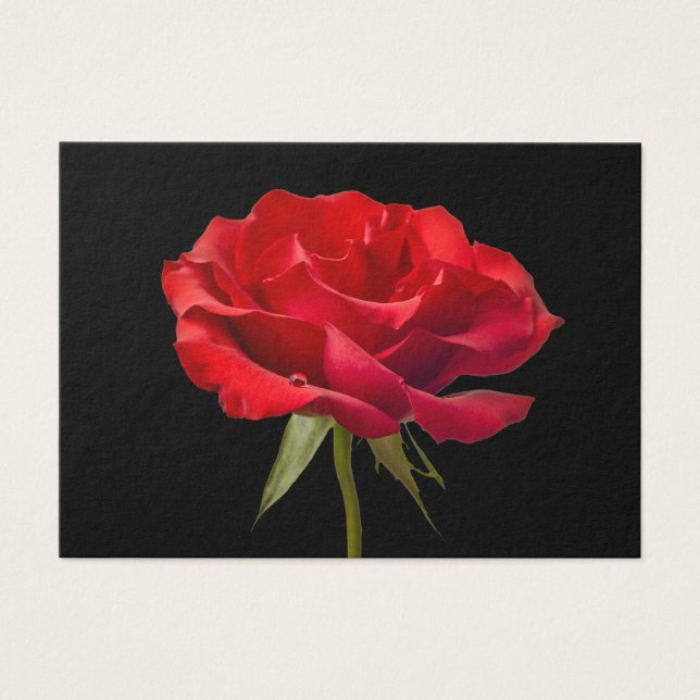 Rote Rose mit/ Tauschtropfen auf schwarzem Hinterg (Vorderseite)