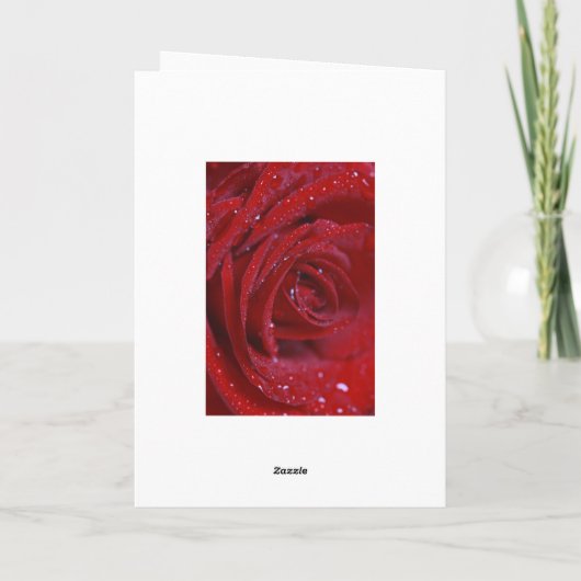 Rote Rose mit Wasser lässt Grußkarte mit Liebe Karte (Rückseite)