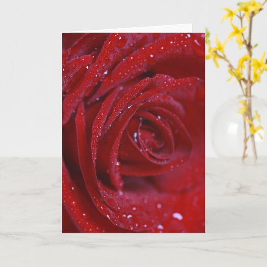 Rote Rose mit Wasser lässt Grußkarte mit Liebe Karte (Gelbe Blume)