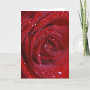 Rote Rose mit Wasser lässt Grußkarte mit Liebe Karte