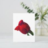 rote Rose mit Wassertropfen Postkarte (Stehend Vorderseite)