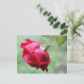 Rote Rose mit Wassertropfen Postkarte (Stehend Vorderseite)