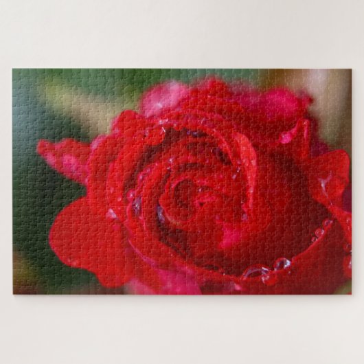 Rote Rose mit Wassertropfen. Puzzle (Horizontal)