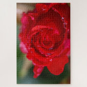 Rote Rose mit Wassertropfen. Puzzle (Vertikal)