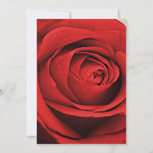 Rote Rose Moderne Rustikale Kraft Glam Elegante Ho Einladung (Rückseite)