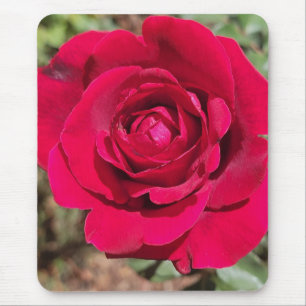 Rote Rose Mouse Pad Mousepad