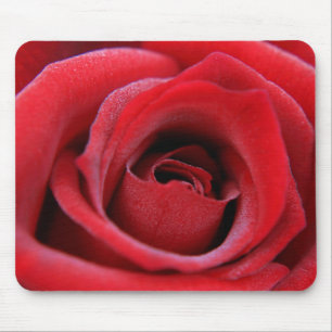 Rote Rose Mousepad