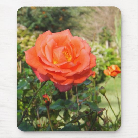 Rote Rose Mousepad (Vorne)