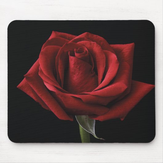 Rote Rose Mousepad (Vorne)