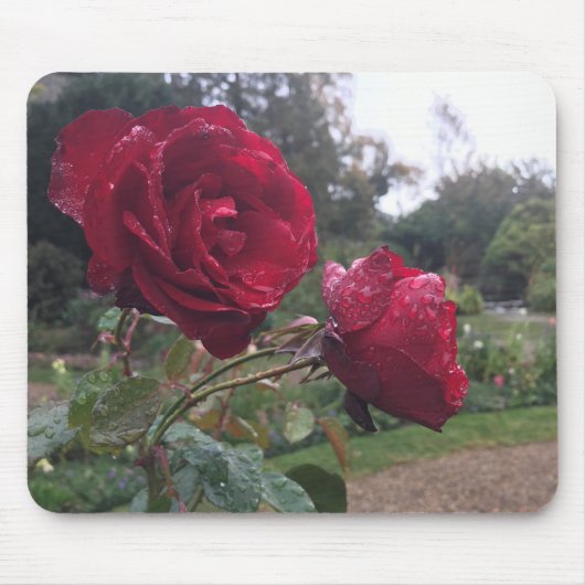 Rote Rose Mousepad (Vorne)