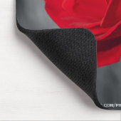 Rote Rose Mousepad (Ecke)