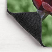 Rote Rose Mousepad (Ecke)