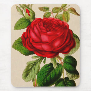 Rote Rose Mousepad