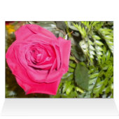 Rote Rose N Fern Dankeschön Karten (Innenansicht Horizontal (Oben))