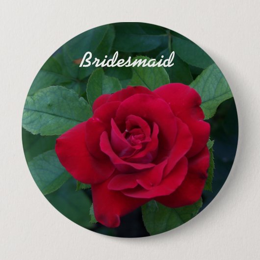Rote Rose Nah Button (Vorderseite)