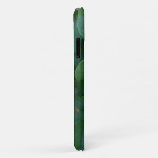 Rote Rose Nah Case-Mate iPhone Hülle (Hinten/Rechts)