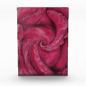 Rote Rose nah Fotoblock (Vorderseite)